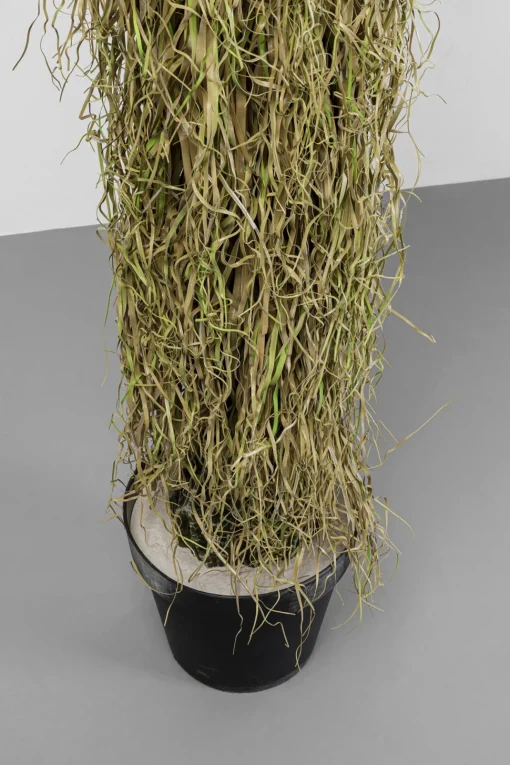 Deko Pflanze Yucca Rostrata 180cm