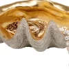 Deko Schale Noble Shell 41x27cm