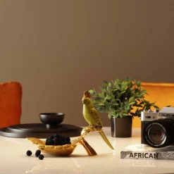 Deko Schale Parrot Guard 10x21cm