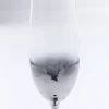 Sektglas Night Sky