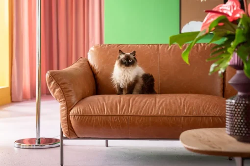 Sofa Napa 226cm
