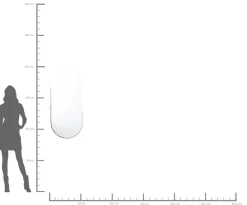 Spiegel Hipster Oval 50x114cm